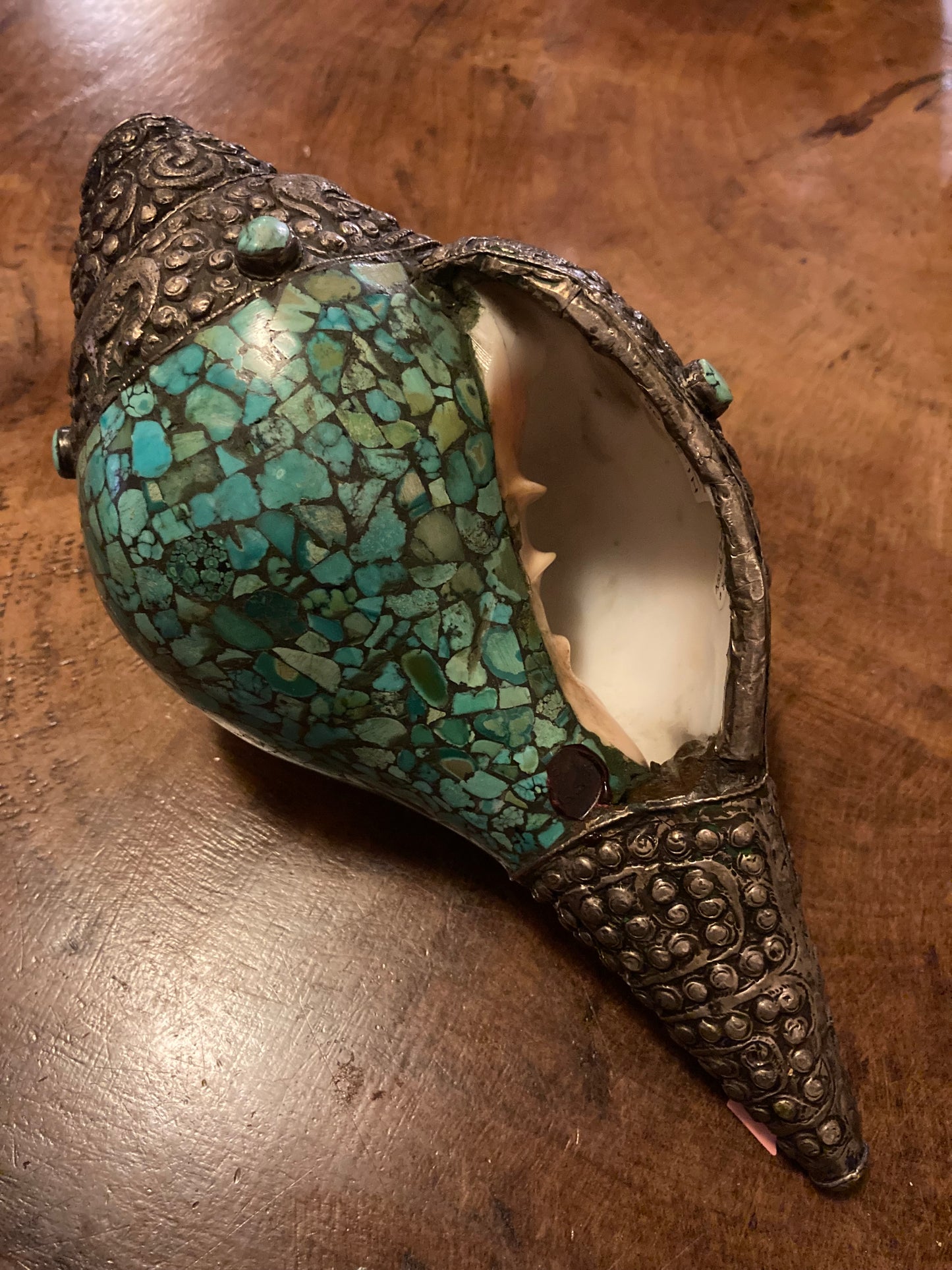 Grote Shankha diep turkooisblauw | Spiraalvormige schelp