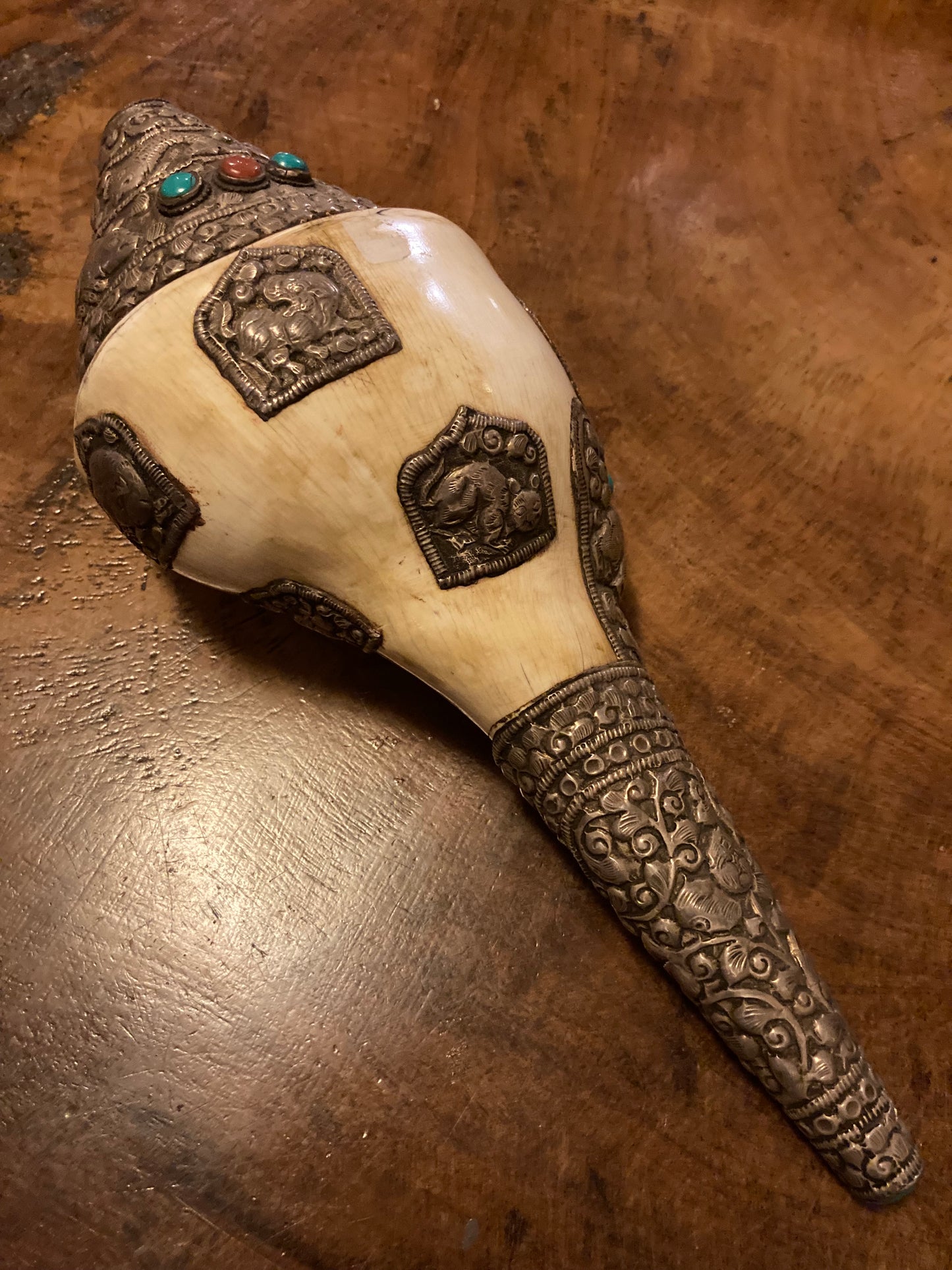 Grote Shankha-edelstenen| Spiraalvormige schelp