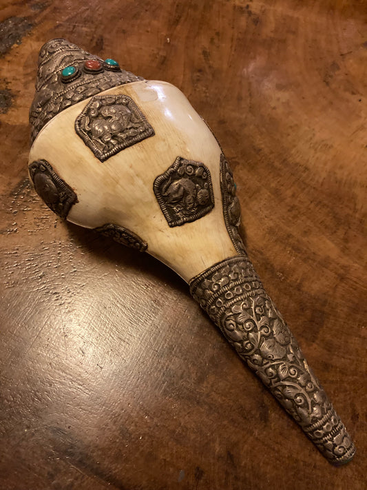 Grote Shankha-edelstenen| Spiraalvormige schelp