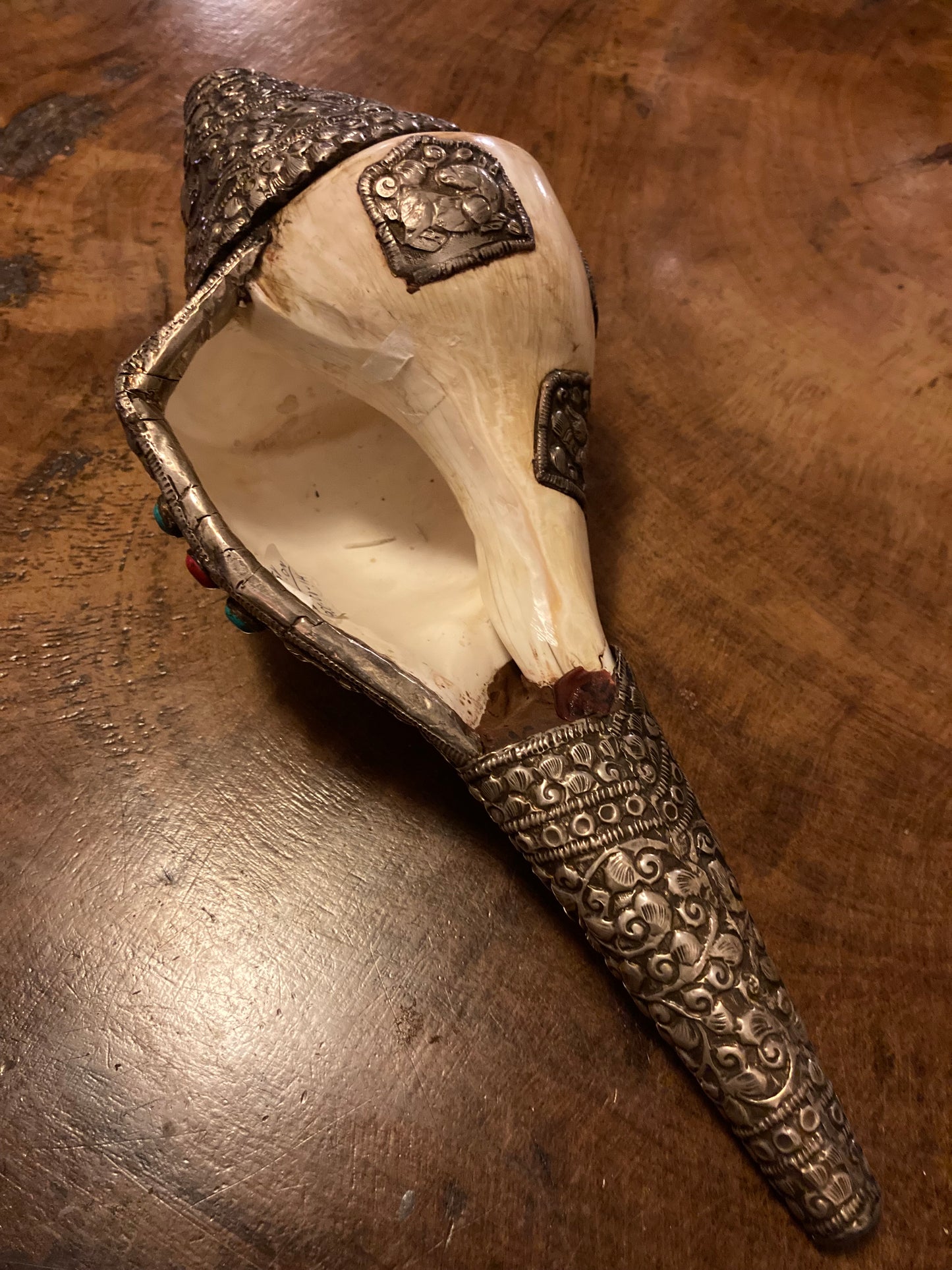 Grote Shankha-edelstenen| Spiraalvormige schelp