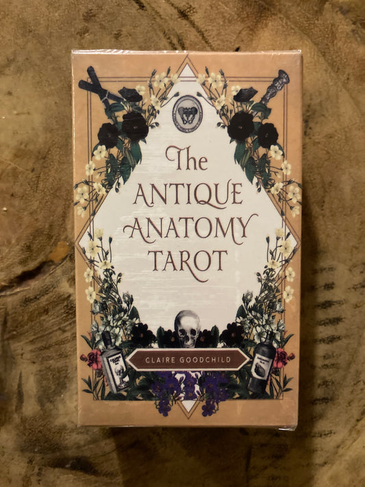 De antieke anatomie | Tarot Kaarten