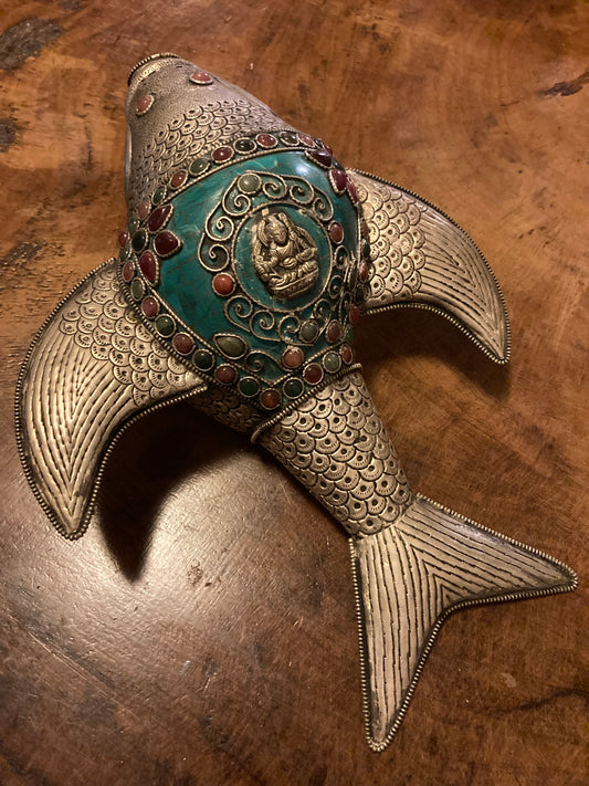 Fish Shaped Shankha | Spiritual Seashell 